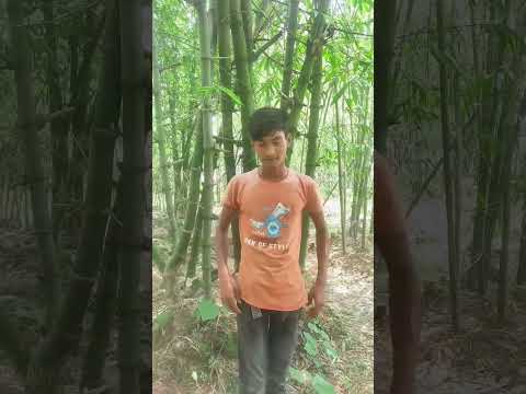 বাঁশ কাটতে বললাম 🤣🤣🤣 #short #meme #reels #funny #comedy #viral #memes #shorts #sundar #comedyvideo