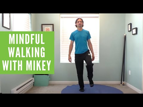 Mindful Walking with Mikey