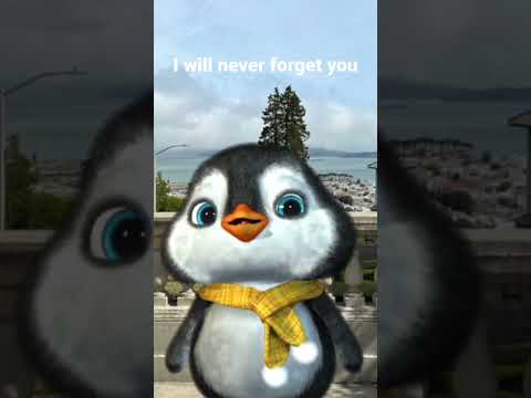 I will never forget you #iwillalwaysloveyou #rememberme #cuteanimals #penguin