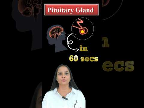 Pituitary Gland | pituitary gland hormones | pituitary hormones #shorts #biology #neet #beatdneet