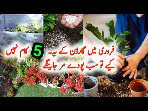 5+  Important February Garden Work /How To Grow plants In February/February Garden work