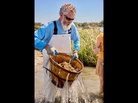 Insiders Look at Virginia’s Most Famous Oysters with Pleasure House Oysters