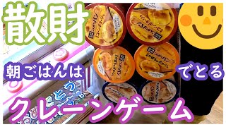 悲報！クレーンゲームで散財してきた！一万円あってもすぐになくなる！それでも朝ごはんをしっかりゲット！Dリングに近い設定は取りやすい？簡単ゲットで気持ちいい！