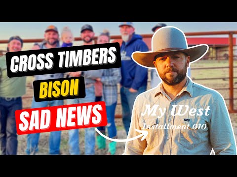 What Really Happened To Cross Timbers Bison?