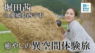 【堀田茜 in 愛媛県西予市】6年越しの再会に感動！？