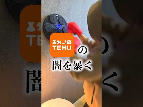 ネットで見るけど誰も買わないパンチングマシン【TEMUの闇】