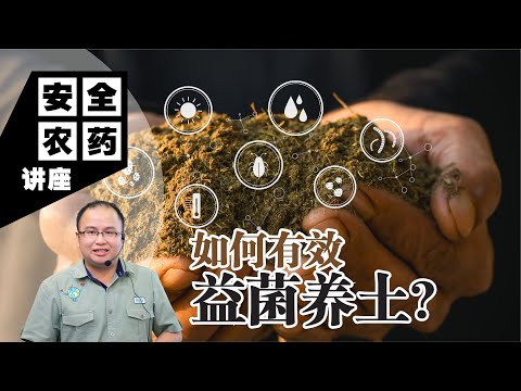 【Baba安全农药讲座】打造健康土壤的秘密武器：掌握3种益菌养土法，让你的土壤更耐久！ | 如何有效益菌养土？