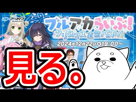 ブルアカらいぶ！クリスマス直前！SP！を見るブルアカ。