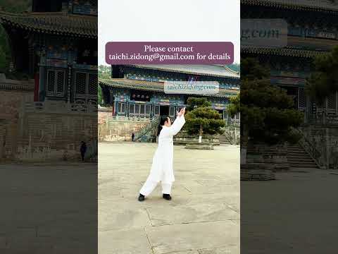 241073-气功-WUDANG, Tiger Style.