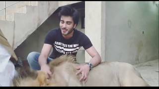 Playing With Simba Lion | Animal | Imran Abbas Fans Official