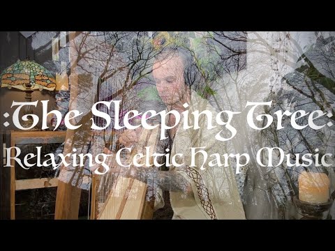 Tree Of Life Celtic Harp Meditation - Relaxing Sleep Music & Tranquil Sound Bath - Adult Beginner