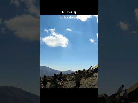 #gulmargkashmir #gulmarg #kashmir #travelvlog #explorethebeautyofnature