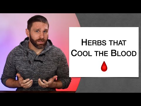 🌿 Herbology 1 Review - Herbs that Cool the Blood (Extended Live Lecture)