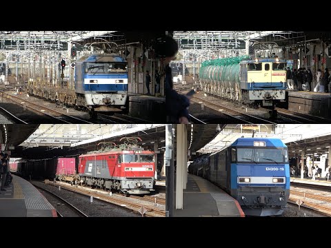 12/20/2024 Japan Railways: Freight Trains at Omiya