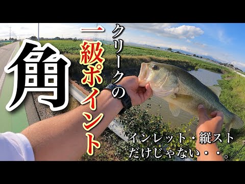 有望ポイントは人も魚もいっぱいなので今回は『角』だけを狙ってみることに‼️