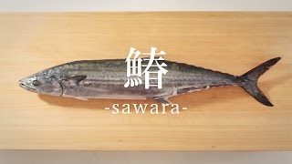 鰆（さわら）のさばき方 - How to filet Japanese Spanish Mackerel -｜日本さばけるプロジェクト