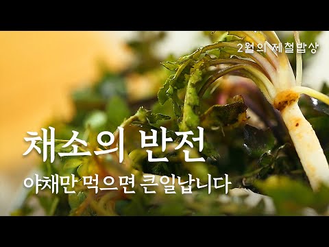 🥗야채 몸에 좋다더니!❌채소에는 없는 이것! 냉이는 있습니다💚｜제철밥상 밥은보약｜EP.2 냉이강된장｜2월｜냉이요리 | 천천히 보는 레시피