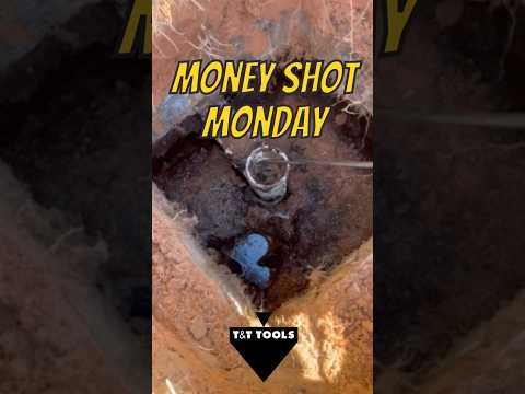 MoneyShotMonday 10/7/24 #shorts