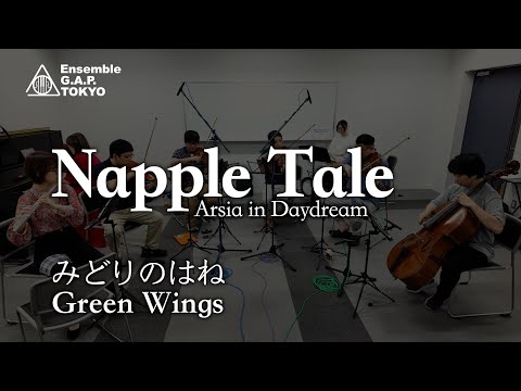 ナップルテール　みどりのはね / Napple Tale Arsia in Daydream　Green Wings