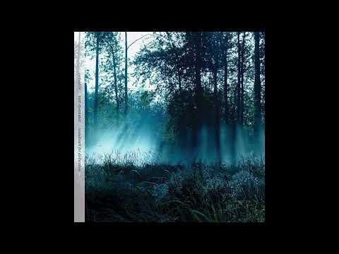 Matt Shoemaker || Soundtrack For Dislocation (2010) Full Album