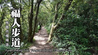 福人登山步道～低海拔森林賞桐步道 (桃園市楊梅區)