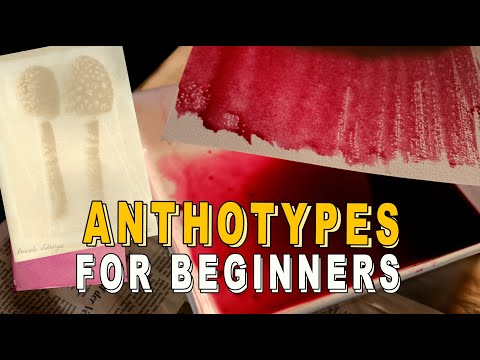 Anthotypes For Beginners | Plant Based Photography!