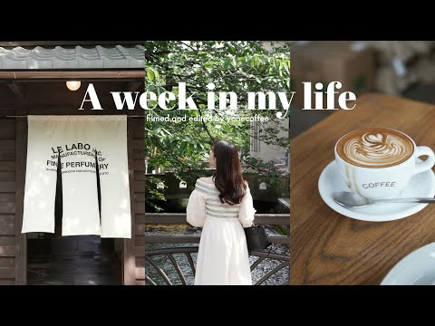 VLOG | LIFE IN JAPAN🐰 | Financial office worker's daily life | A week in Osaka and Kyoto