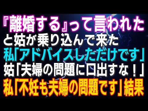 【スカッとする話】「『離婚する』って言われた！」と姑が乗り込んで来た 私「アドバイスしただけです」姑「夫婦の問題に口出すな！」私「不妊も夫婦の問題です」⇒結果