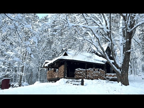 Winter day at the off- grid cabin | Snowshoeing| Cast Iron Apple Crisp| Canada