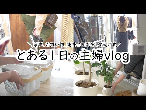 主婦のとある1日｜vlog｜家事｜買い物｜趣味を楽しむ｜春の訪れ