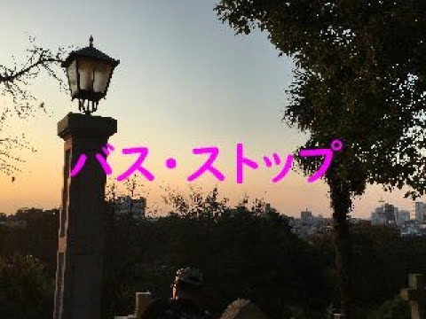 バス・ストップ　～エアロフォンAE-20で吹いてみた