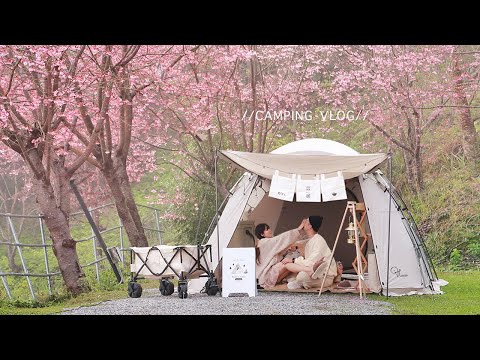 最美的櫻花露營。迷霧森林🌸Camping Vlog ep07。牛肉蔬菜湯咖哩/蜜汁刈包/烤香魚/烤番薯/辣肉醬熱狗堡/爆米花