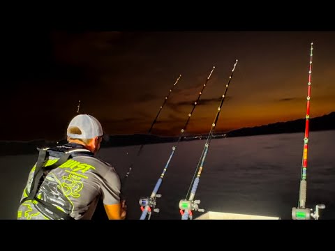 MIDNIGHT SURPRISE | RIVER CATFISHING