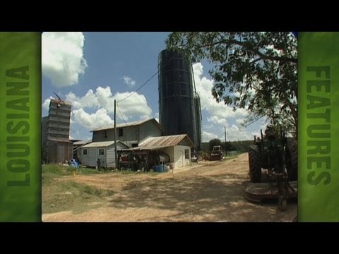 Dairy farm of  E. Feliciana producer Mike Brian (2006)