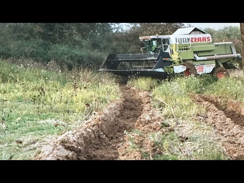 Tom lamb abroad (combine fire and farming in France)