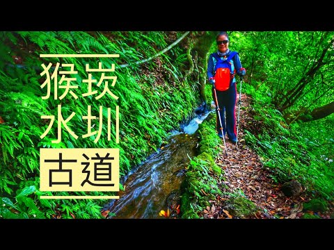 猴崁水圳古道 | 青楓步道 | 猴崁湖田國小步道 | 湖田國小 | 大梯田 | 竹子湖 | 柳杉林 | 磺溪 | 繡球花 | 步道