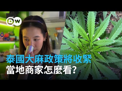 #泰國娛樂用大麻：加強管制將對店家有何衝擊？