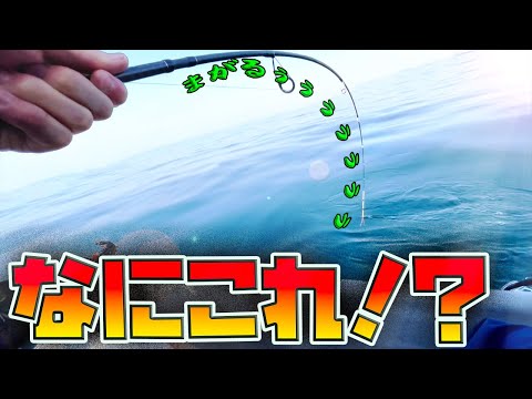 【釣り】神回⁉︎エギングで１m超えの〇〇キター！