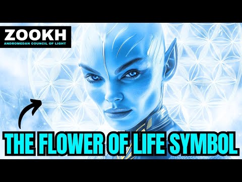 ***THE KEY TO HUMANITY'S ASCENSION??*** | The Andromedans | Zook