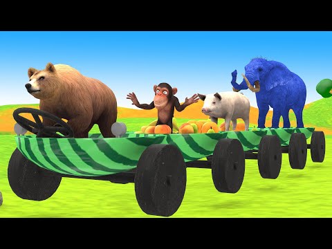 पशु तरबूज ट्रेन की कहानी Hindi Kahaniya - 3d Hindi Animated Fairy Tales - Panchatantra Moral Stories