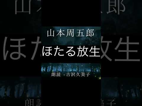 【1分朗読】山本周五郎『ほたる放生』　#山本周五郎 #朗読 #読み聞かせ #アナウンサー朗読