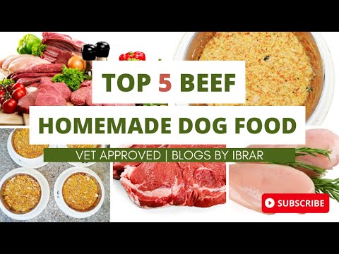 5 best Beef dog food recipes homemade vet approved DIY dog food | blogsbyibrar