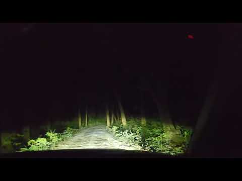 Night Drive In Tiger Territory । जब आसमान में Aeroplane का Engine बंद हो गया । हाथी नजदीक ही थे