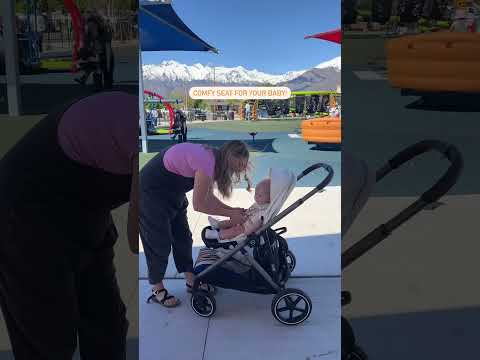 A day at the park with the Cybex Gazelle S! | The Baby Cubby  #stroller #babystroller #babygear