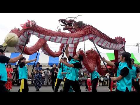 【2019/11/3  くじらどんまつり】新上五島在宅ケアセンター　龍踊り披露