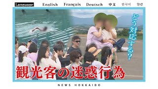 “青い池”に“セブンスターの木”これが「オーバーツーリズム」の現状　山﨑記者が屈指の観光地・美瑛町で見た・聞いた