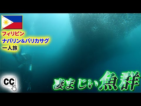 I dived in Bohol and Balicasag Island, 2 of the top diving spots in the Philippines!