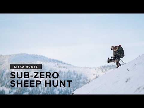 SITKA HUNTS | Bowhunting Bighorns in -25 °F