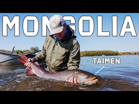 Fly Fishing Mongolia: TAIMEN - The World's Largest Salmonid