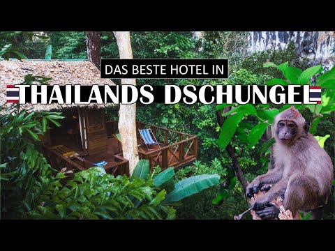 Thailand: Affen im Hotel • BESTE UNTERKUNFT im Dschungel • Khao Sok • Reise VLOG